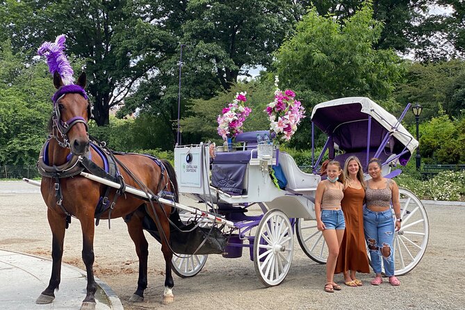 OFFICIAL NYC Central Park Horse Carriage Rides