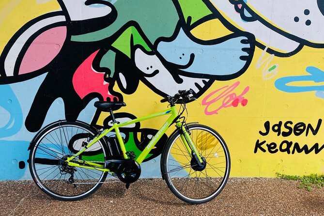 Okinawa E-bike Rental (Sporty Type) - Included Amenities