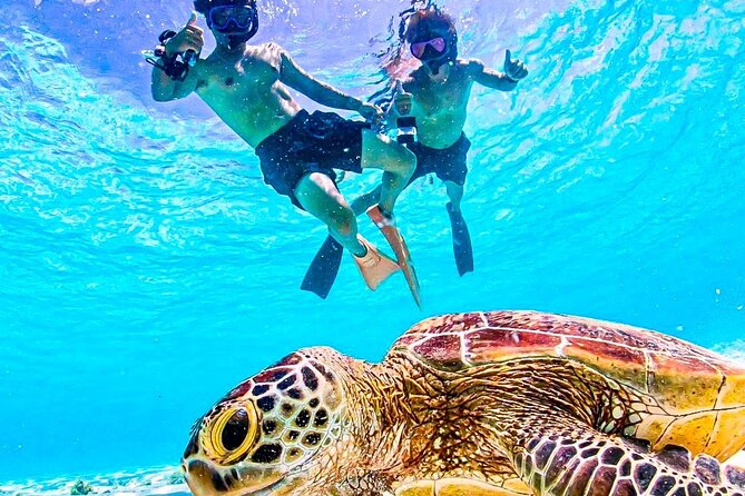 Okinawa Miyako Sea Turtle Snorkeling Free Pick up and Drop off - Meeting and Pickup