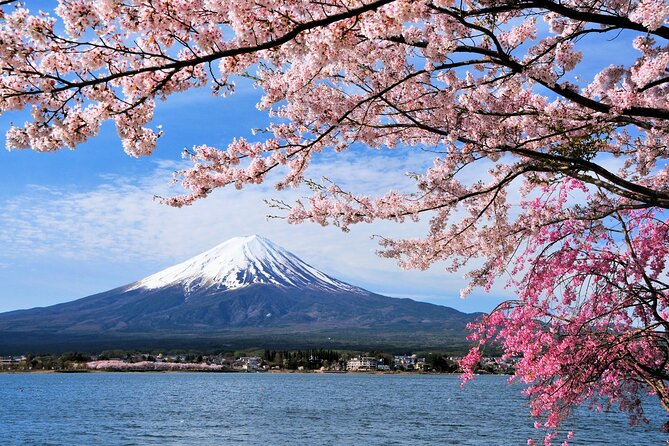 One Way Bus Takayama to Tokyo via Mt. Fuji 5th Station - Meeting Point and Departure Details