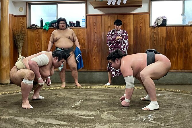 Osaka Sumo Morning Practice Watching Experience
