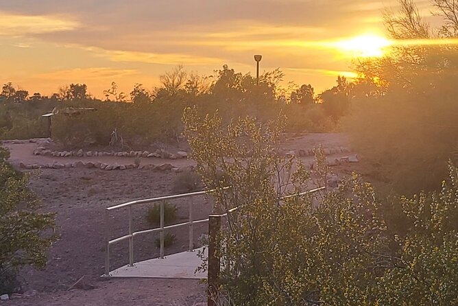 Peaceful Morning Walk: Guided Journey Through the Sonoran Desert