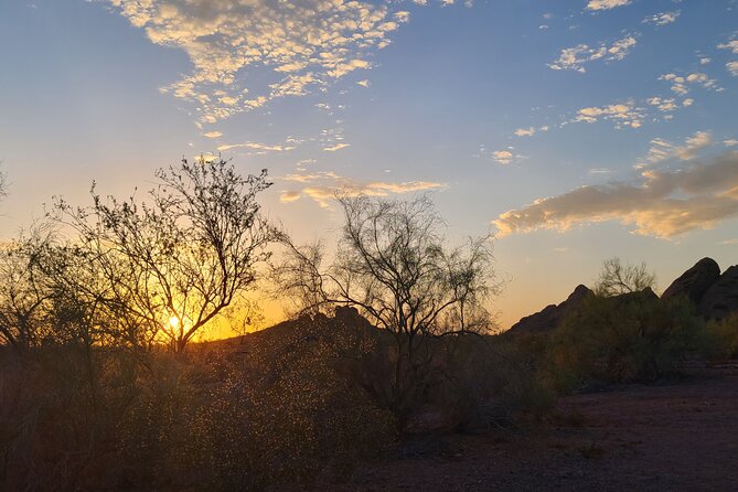 Peaceful Nature Walk. Botanical Tour of the Sonoran Desert.