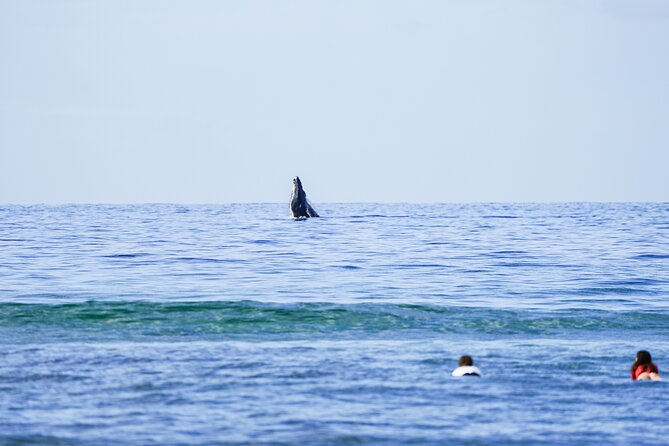 Private 2 Hour Surf Lessons With Experienced Coaches