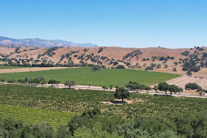 Private All-Inclusive Santa Ynez Wine Tour From Santa Barbara