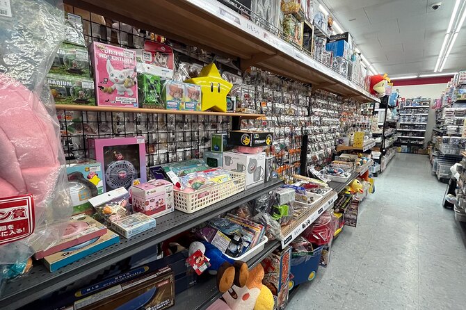 Private Car Tour Japanese History Visit, Buy Lots of Anime Goods