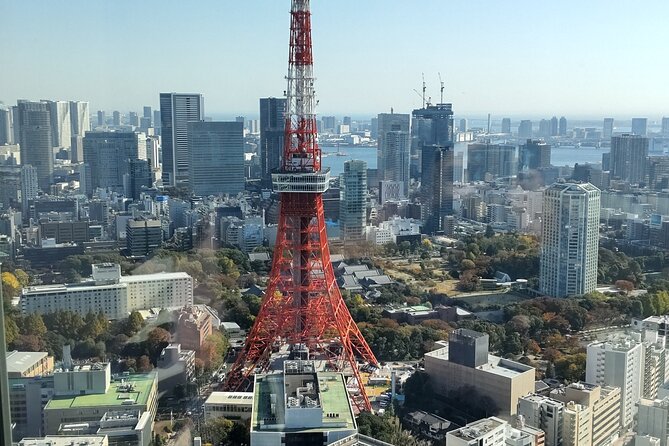 Private Chartered-Taxi Tokyo Tour With Certified Japanese Guide