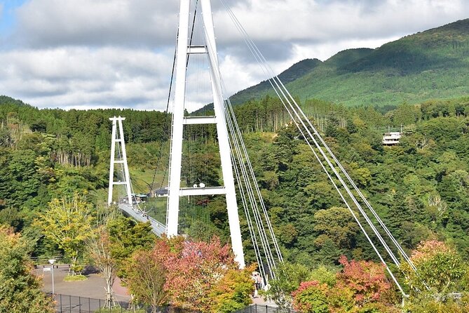 PRIVATE Day Minibus Tour to KOKONOE & YUFUIN, BEPPU From Fukuoka