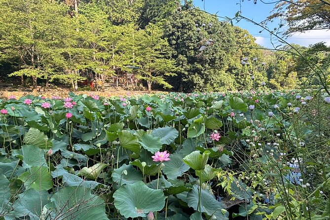 Private: E-bike Cycling Tour in Arashiyama