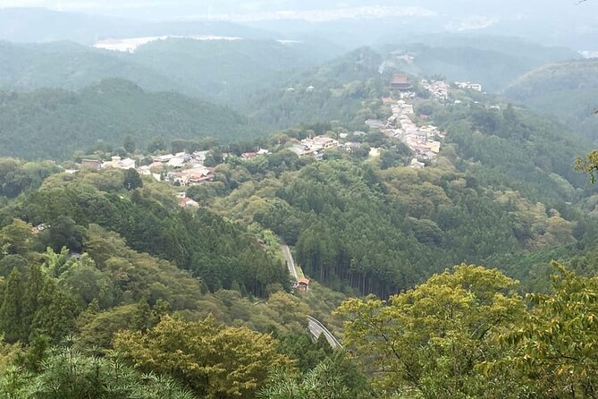 Private Full-Day Guided Tour in Yoshino, Japanese Mountain