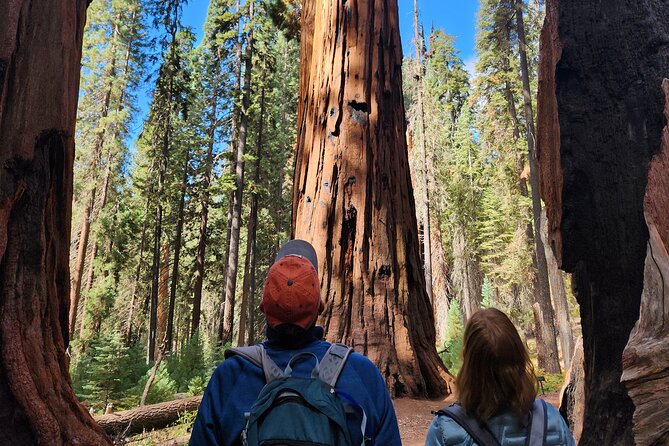Private Guided Hiking Tour - Sequoia National Park - Accessibility and Participation