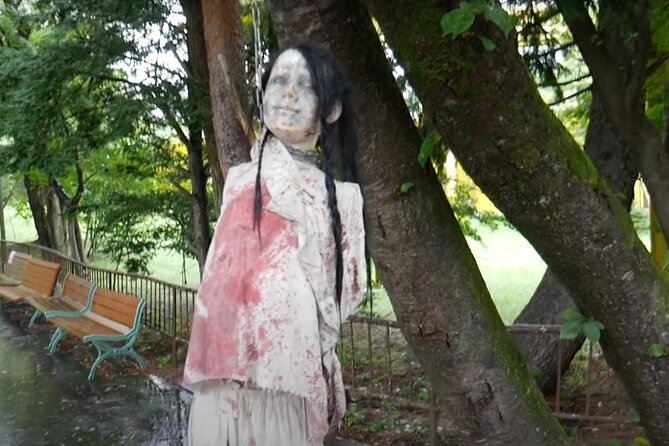 Private Haunted Spots Tour in Japan for the Bravest Ghost Hunters