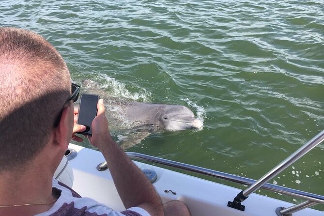 Private Hilton Head Dolphin Tour With Waterfront Dining Stop