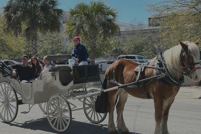 Private Historic Carriage Tour Charleston – Palmetto Carriage