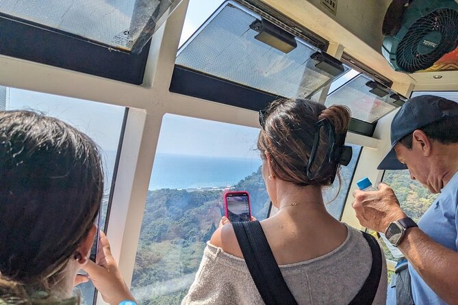 Private Shizuoka Tour From Shizuoka Station / Van Taxi