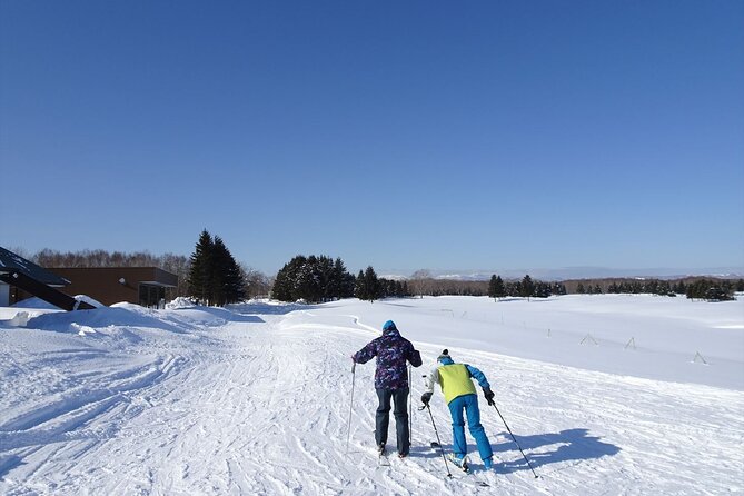 Private Ski Lesson for Beginners in Chitose - Overview