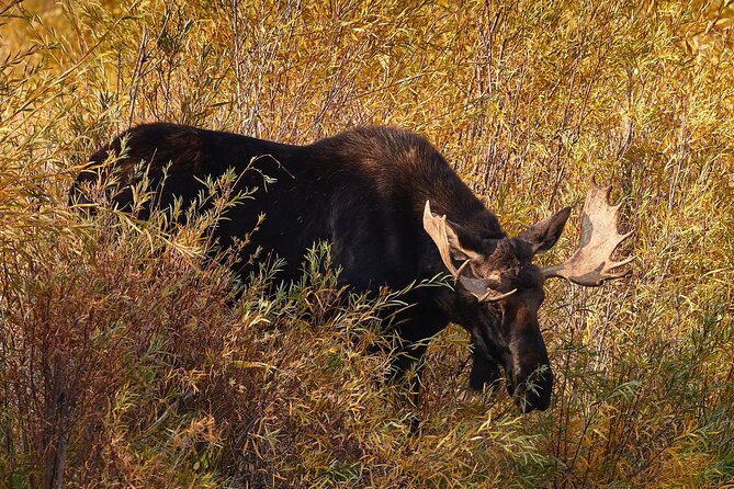 Private Snake River Scenic Float With Teton Views