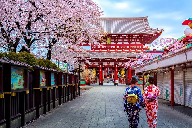 Private Tailored Tour With Local Guide in Tokyo