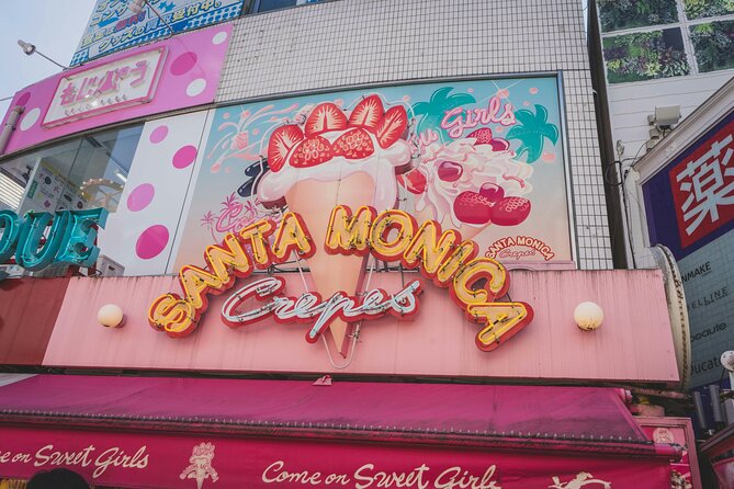 Private Tour in Tokyo With Shopping