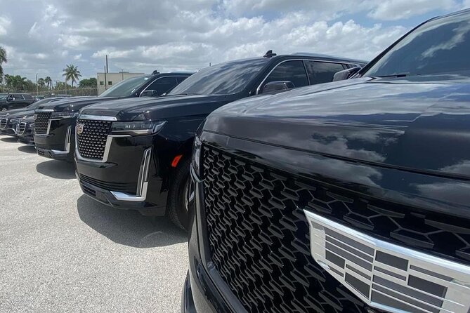 Private Transfer From Port of Miami to Miami and Fort Lauderdale