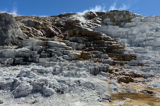 Private Yellowstone Park Van Tours From Bozeman