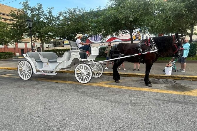 Public Group Historical Carriage Tour of Galveston