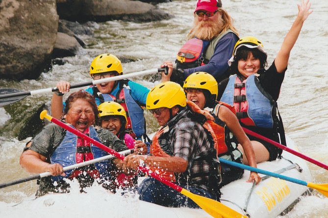 Racecourse Half Day Class 3 Most Popular in New Mexico