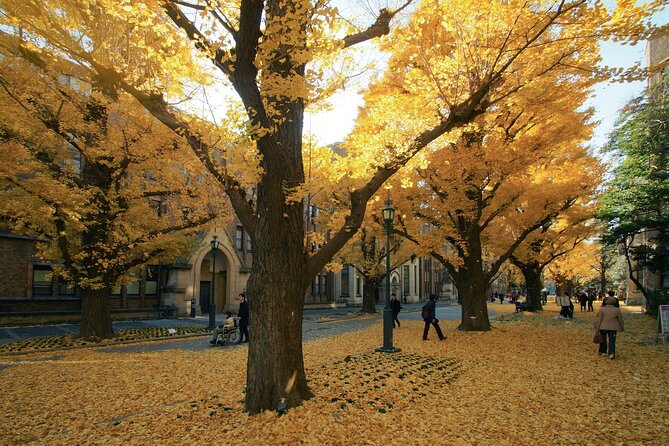 Red, Yellow and Brown – Visit Autumn Leaves Spots in Tokyo