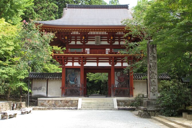 Relaxed Nara Tour From Kyoto Hasedera and Muroji Temples - Nara Deer Park