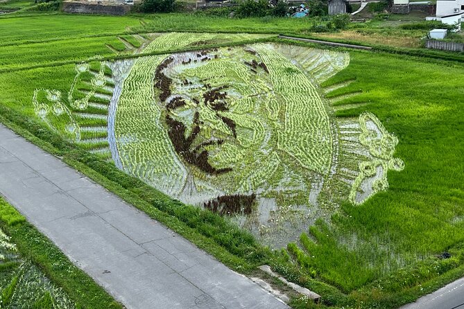 Rice Paddy Art Half Day Tour in Aomori - Tour Overview