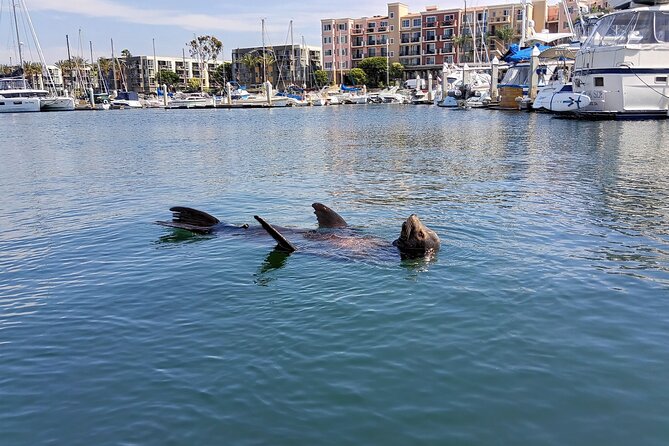 Romantic Luxury Boat Cruise With Wine Cheese Sea Liontours