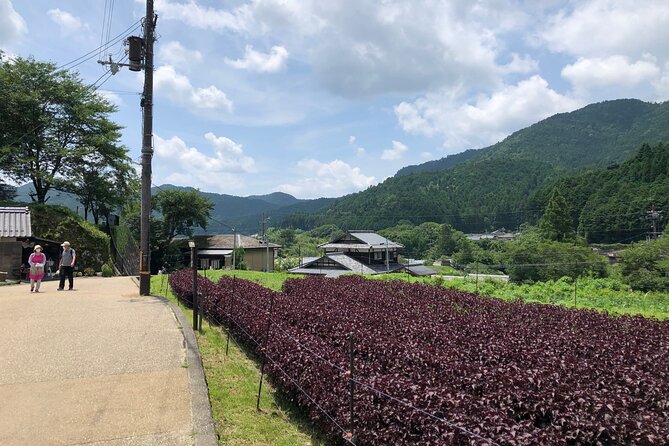 Rural Kyoto One Day Tour of a Tranquil Landscape in Ohara