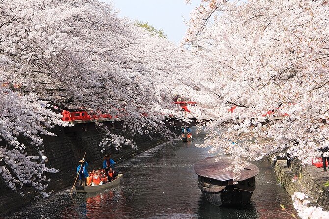 Sakura 1 Day Tour With Charter Train and Boat From Nagoya