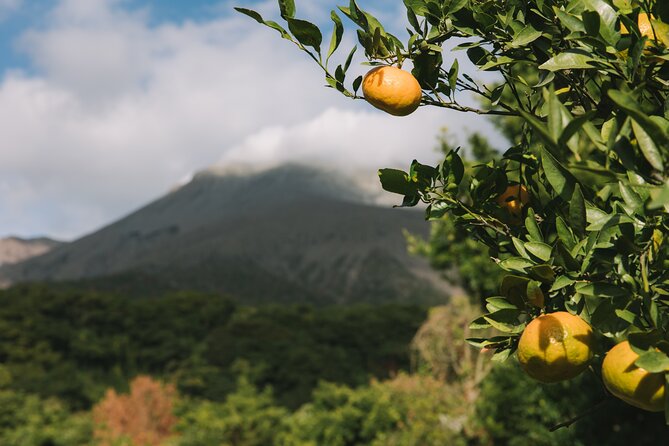 Sakurajima Blessings of the Earth Ride