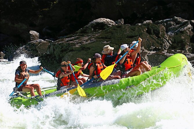 Salmon River Half Day Rafting in Riggins Idaho - Overview of the Salmon River Half Day Rafting Experience