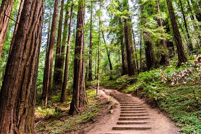 San Francisco, Golden Gate, Sausalito and Muir Woods Private Tour