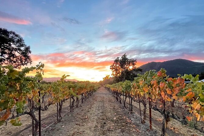 Santa Barbara Wine Country Vineyard & Village Tour