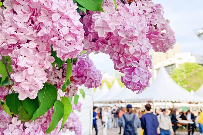 Sapporo City Tour and Seasonal Events in Odori Park Exploration - Sapporo City Tour