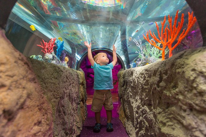 SEA LIFE Michigan Aquarium Admission Ticket