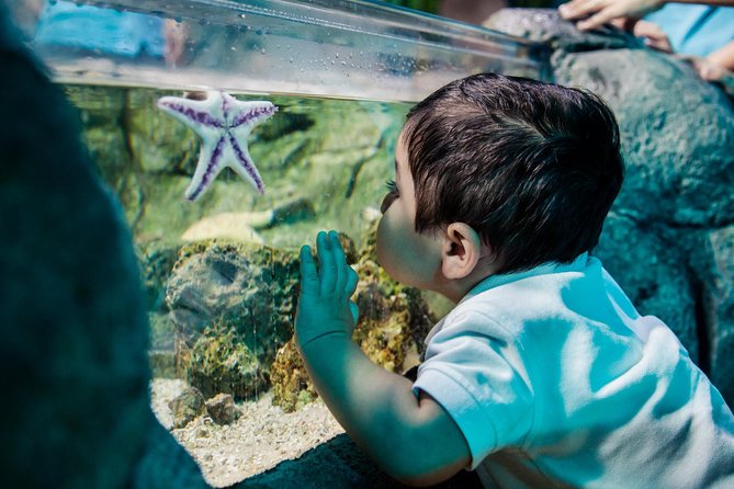 SEA LIFE San Antonio Admission Ticket - Ticket Pricing and Options