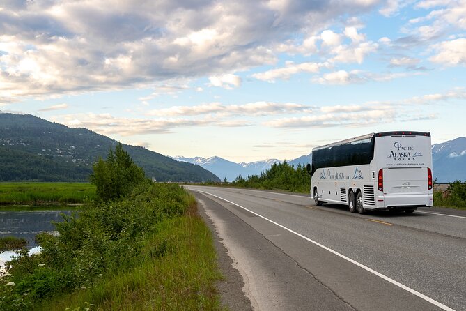 Seward to Anchorage Wildlife Adventure - Overview of the Adventure