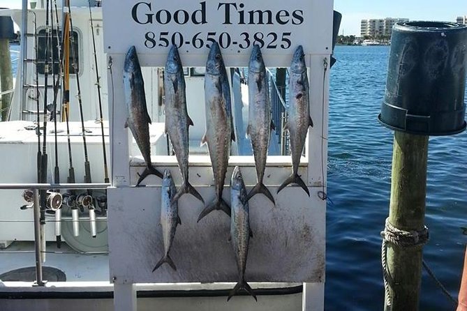 Shared Deep Sea Fishing Trip