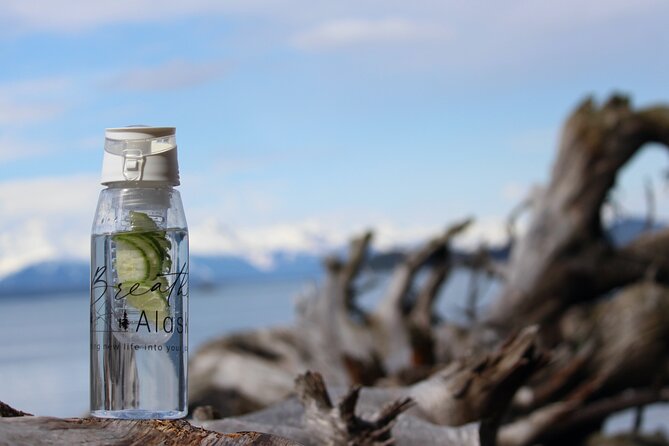 Shared Mindfulness in Wilderness Tour From Alaska - Discovering the Beauty of Juneau