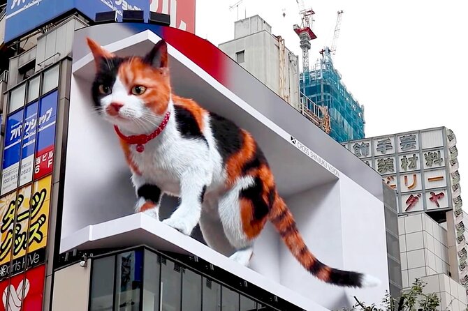 Shinjuku Night Tour and Explore Tokyo Neon Wonderland