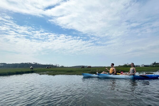Single Sit on Top Kayak Rental at Assateague Island, MD - Overview of the Kayak Rental Experience