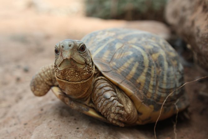 Skip the Line: General Admission to River Bend Nature Center Ticket
