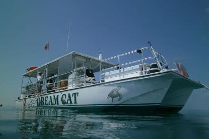 Small Group Key West Snorkel Adventure