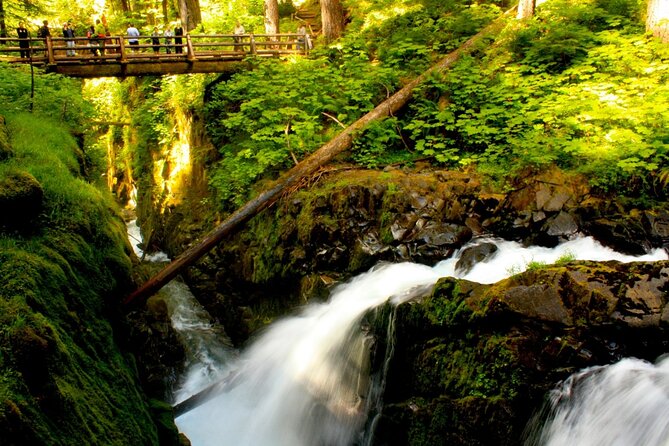 Small Group Olympic National Park Day Tour From Seattle 2CANGO