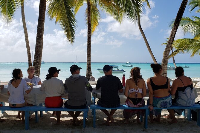 Small Group: Saona Island Full Day Tour - Tour Overview and Highlights