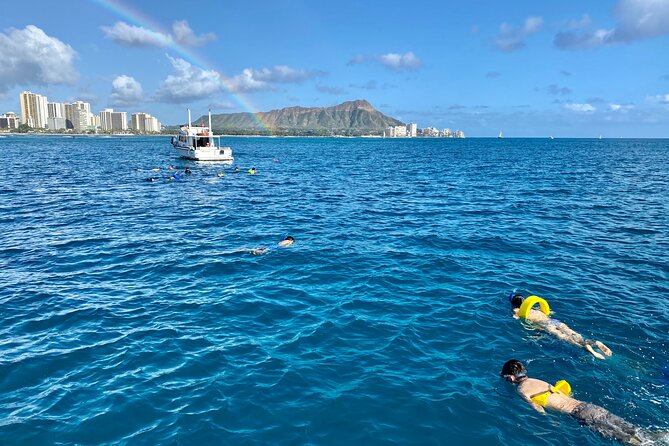 Small Group Turtle Canyon Snorkel in Waikiki